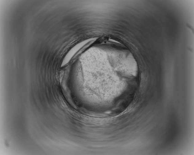 X0000101960048200808081538