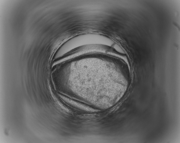 X0000101960049200808081537