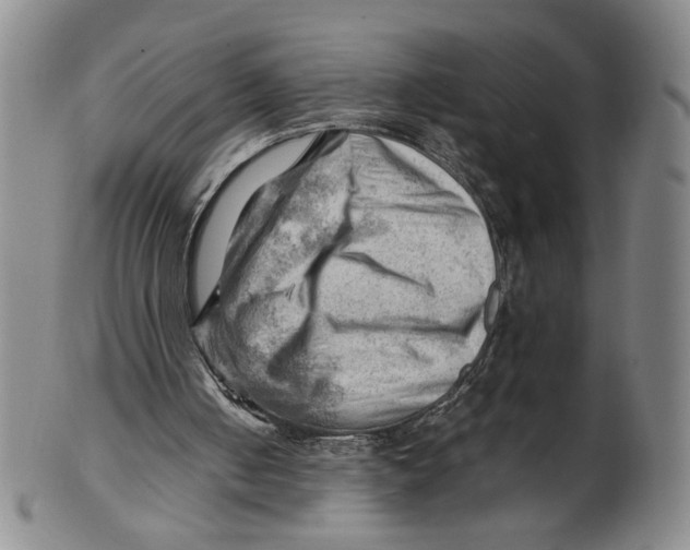 X0000101960050200808081537