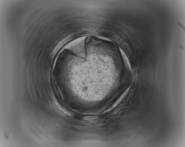 X0000101960051200808081537