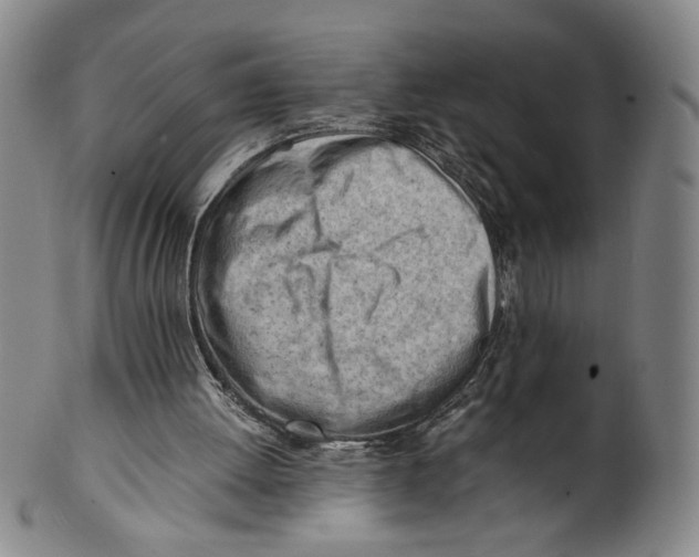 X0000101960052200808081537