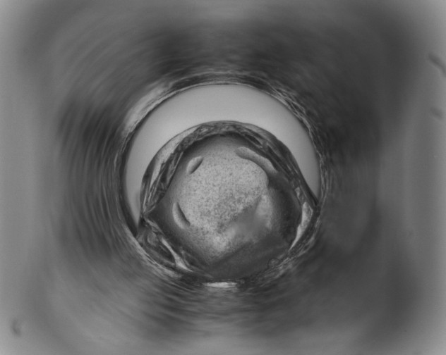 X0000101960053200808081537
