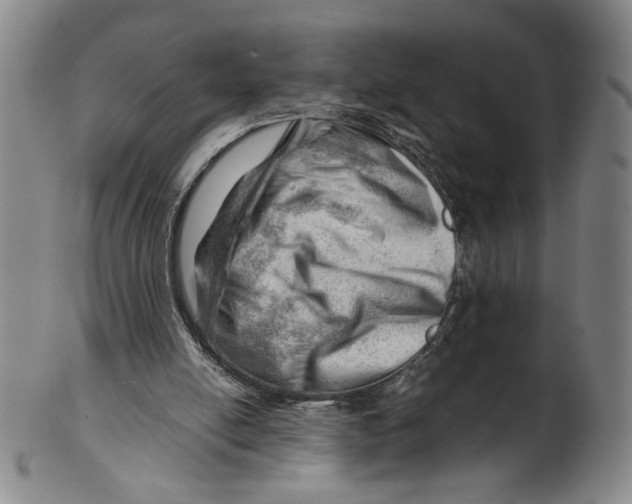 X0000101960054200808081537