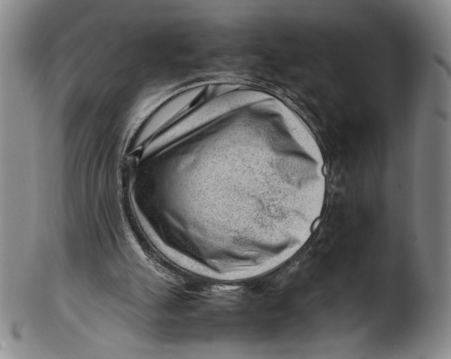 X0000101960055200808081537