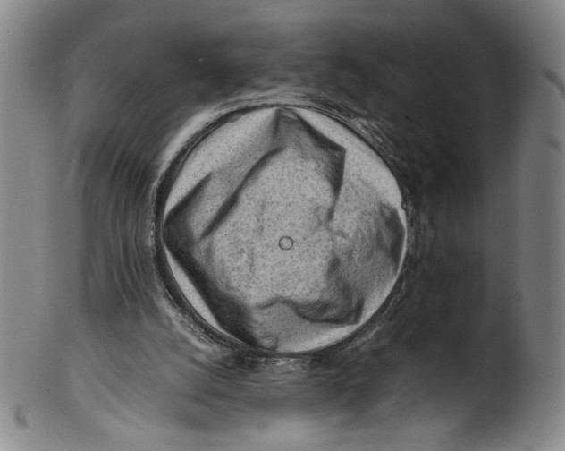X0000101960056200808081537