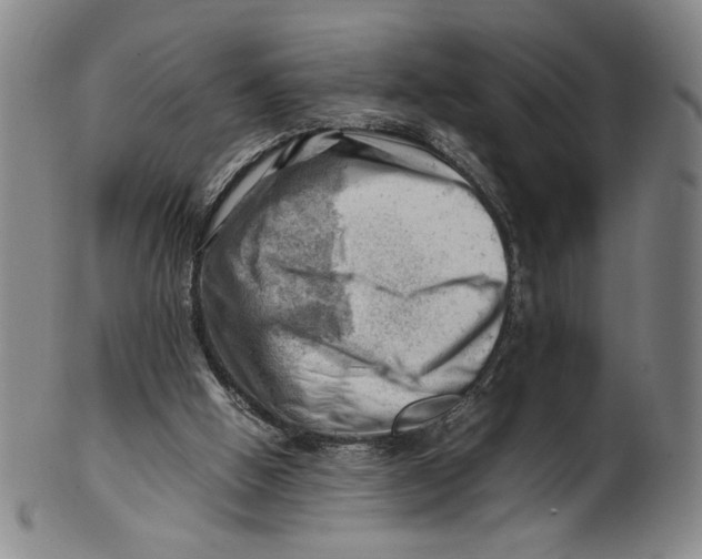 X0000101960058200808081537