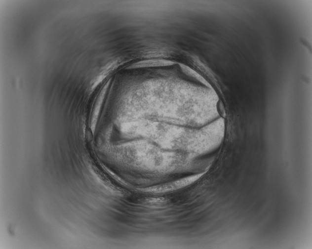 X0000101960059200808081537