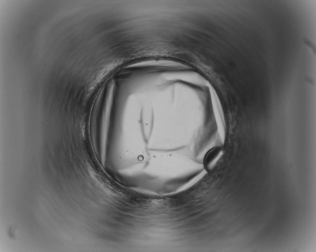 X0000101960060200808081537