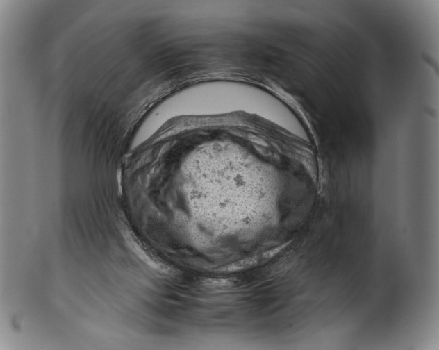 X0000101960061200808081537