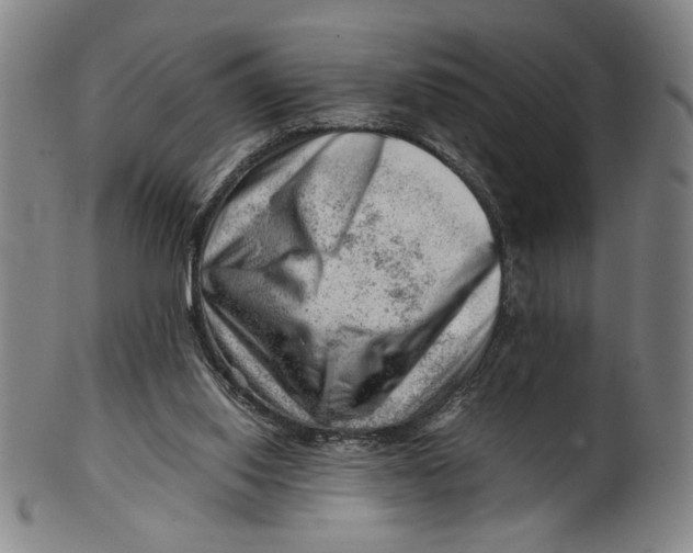 X0000101960062200808081537