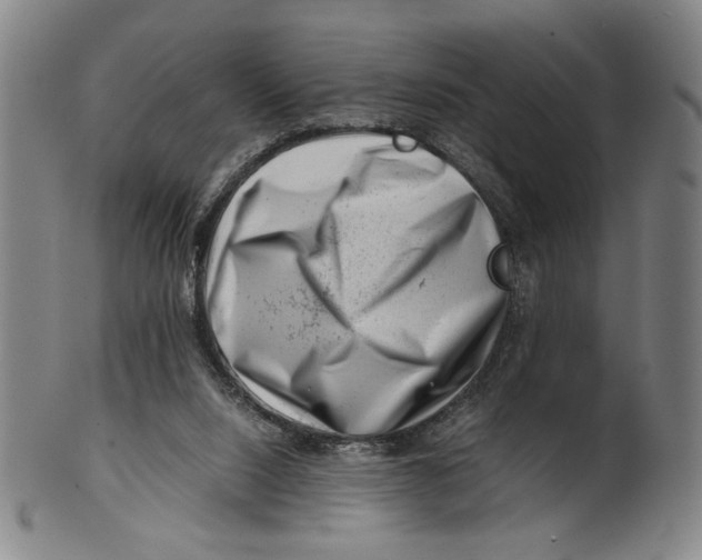 X0000101960064200808081537