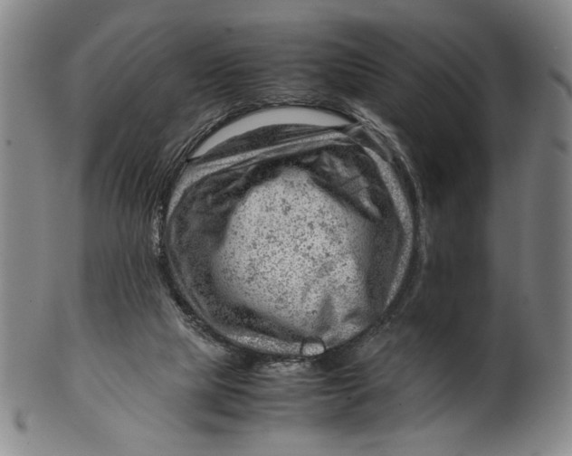 X0000101960065200808081537