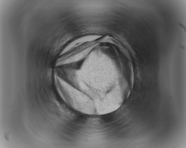 X0000101960066200808081537