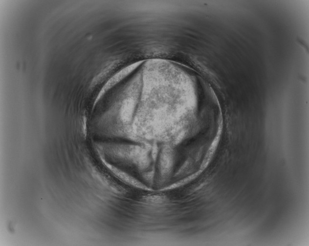 X0000101960067200808081537