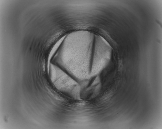 X0000101960068200808081537