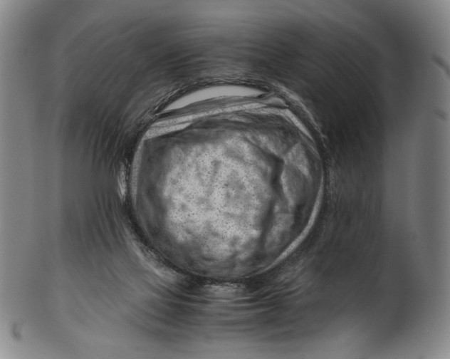 X0000101960069200808081537