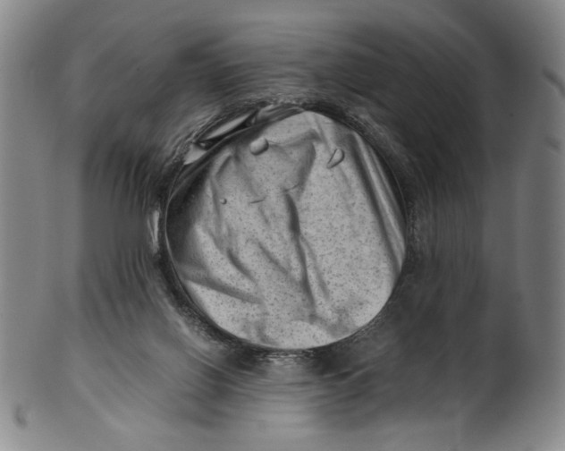 X0000101960070200808081537