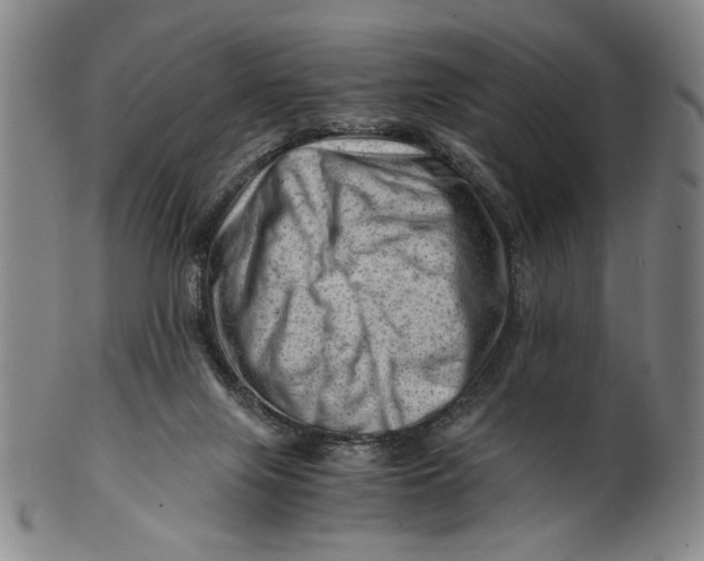 X0000101960071200808081537