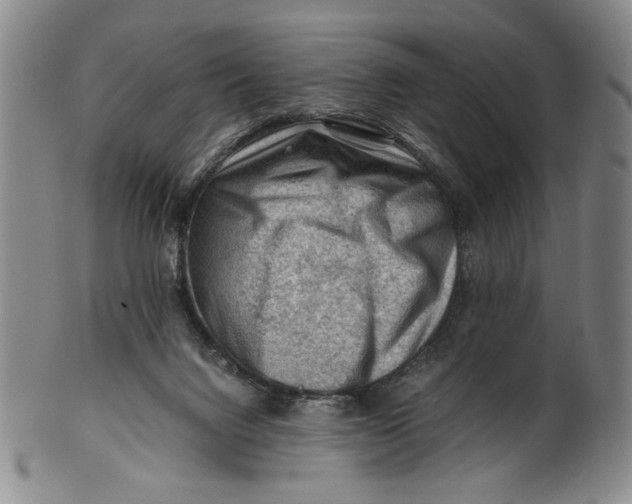 X0000101960072200808081537