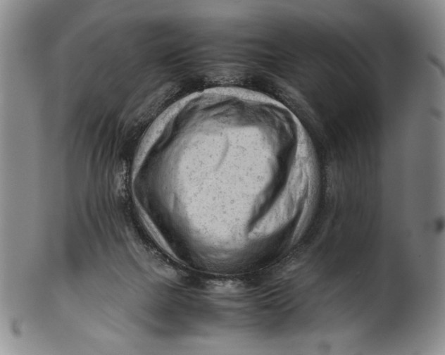 X0000101960073200808081537