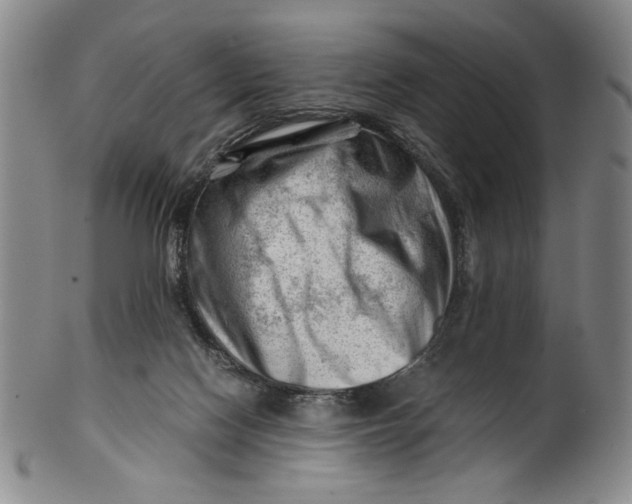 X0000101960074200808081537