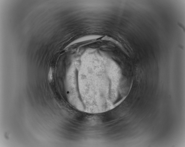 X0000101960075200808081537