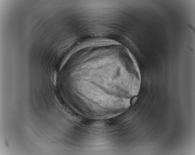 X0000101960076200808081537