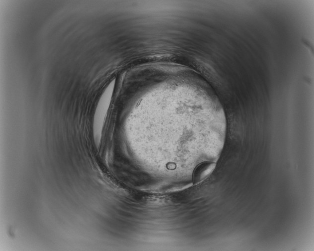 X0000101960077200808081537