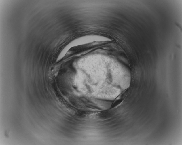 X0000101960078200808081537