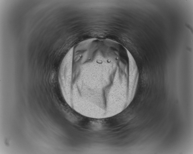 X0000101960079200808081537