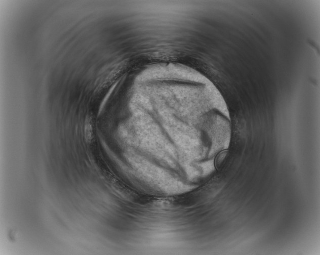 X0000101960080200808081537