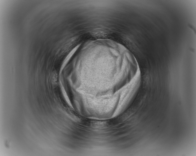 X0000101960081200808081537