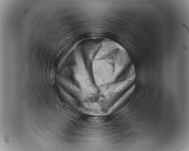 X0000101960082200808081537