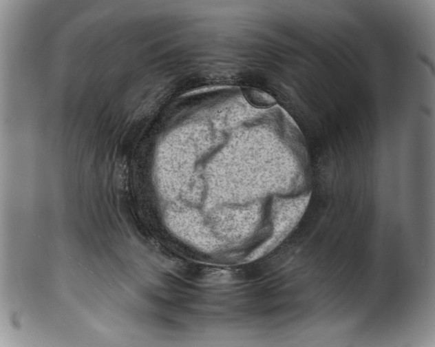 X0000101960083200808081537