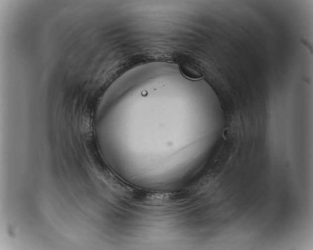 X0000101960084200808081537