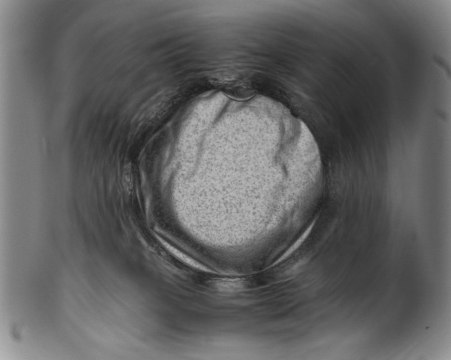 X0000101960085200808081538