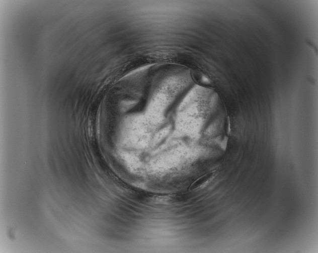 X0000101960086200808081538