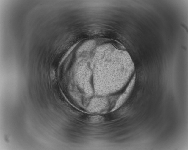 X0000101960087200808081538