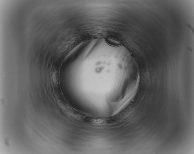 X0000101960088200808081538