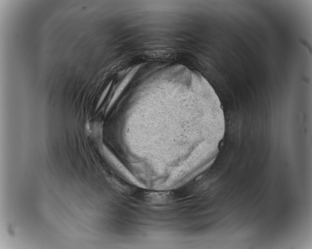 X0000101960089200808081538