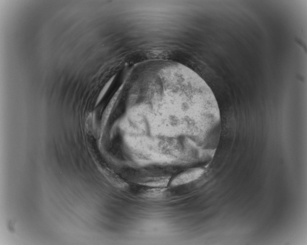 X0000101960090200808081538