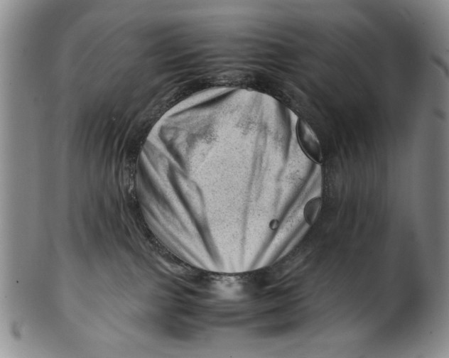 X0000101960091200808081538