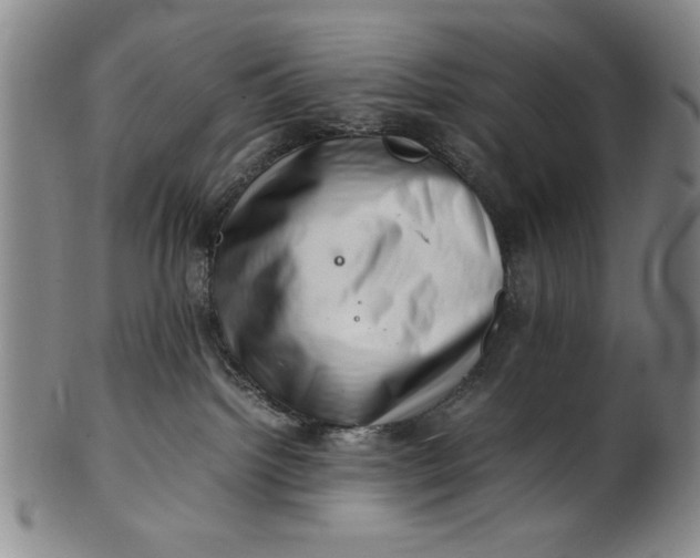 X0000101960092200808081538
