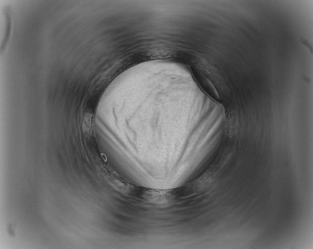 X0000101960093200808081538