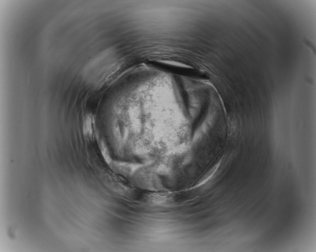 X0000101960094200808081538