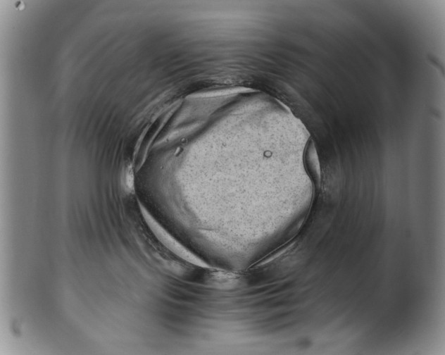 X0000101960095200808081538