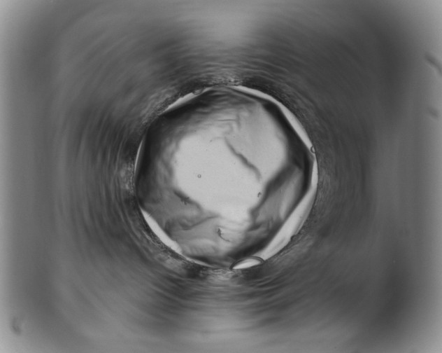 X0000101960096200808081538