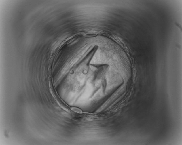X0000101960097200808081537