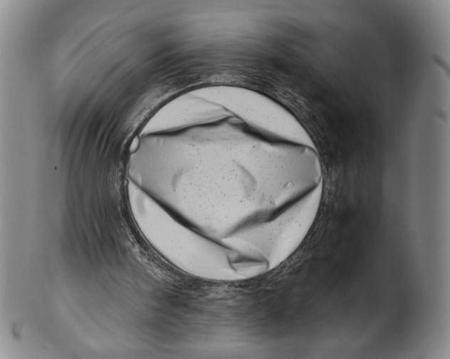 X0000101960098200808081537