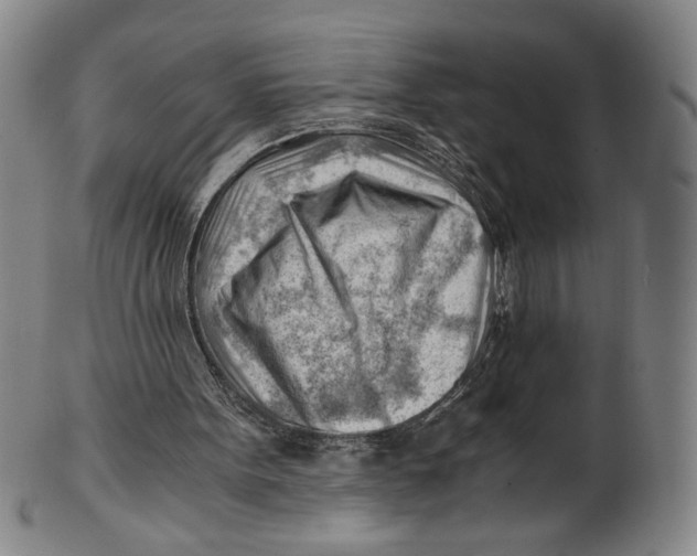 X0000101960099200808081537